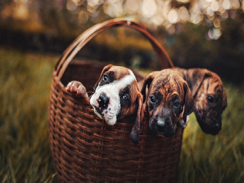 试管多次失败河南（激素六项费用）