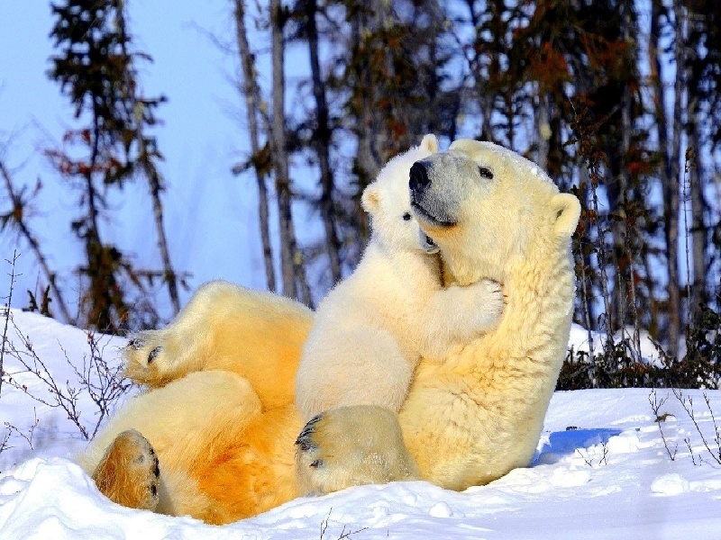 林君做试管后续（手持式试管）